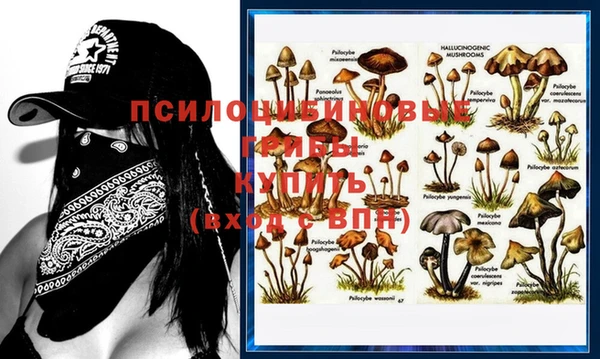 марки nbome Арсеньев