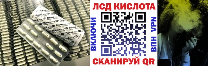 дарнет шоп Калач Лсд 25 экстази ecstasy