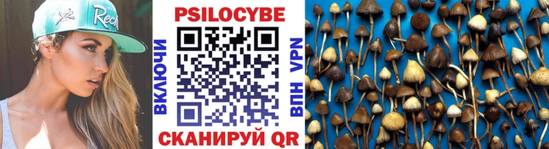 наркотики Калач Галлюциногенные грибы MAGIC MUSHROOMS